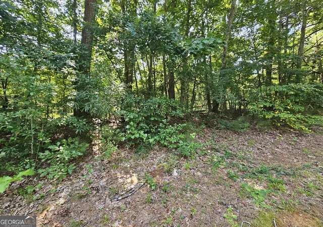 3rd image of Lot 2 June Ivey Rd, Bethlehem, GA 30620 | MLS# 10813185