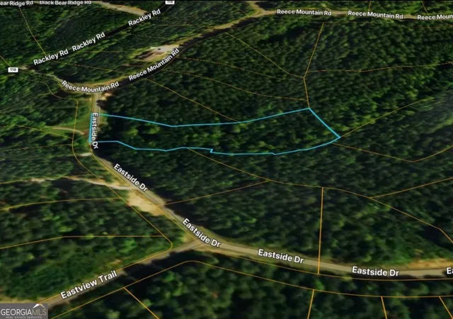 Photo 1 of Land for sale at Lot 37 Eastside Dr, Ellijay, GA 30536 | MLS# 10827918 | Listing updated on 2026-10-17