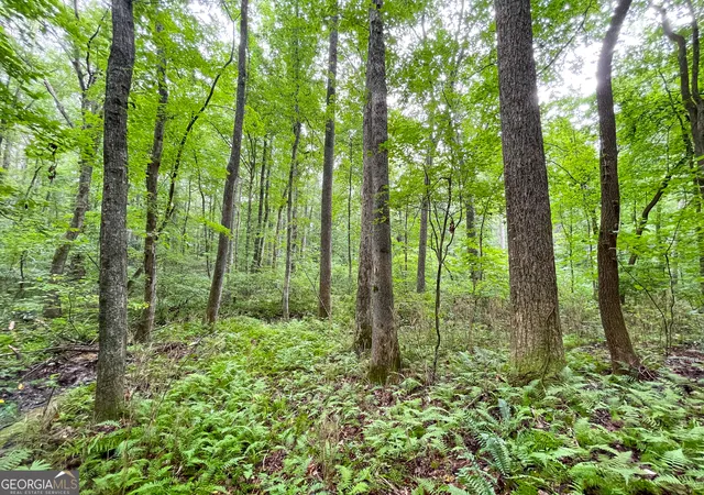 3rd image of 18 +/ Acres On Pope Lake Rd, Buchanan, GA 30113 | MLS# 10805667