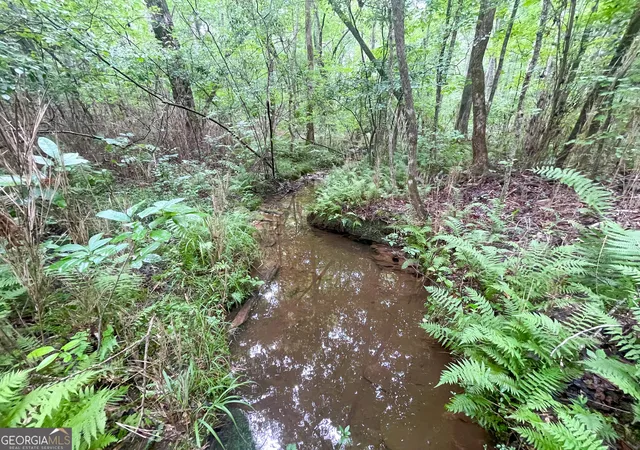 4th image of 18 +/ Acres On Pope Lake Rd, Buchanan, GA 30113 | MLS# 10805667