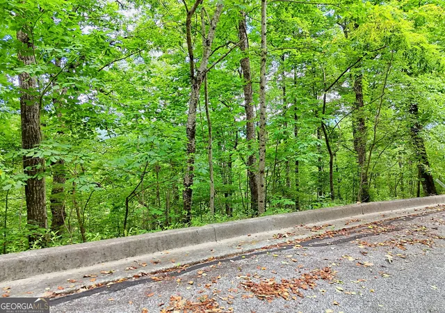 3rd image of 0 High Pointe Dr, Clayton, GA 30525 | MLS# 10786547