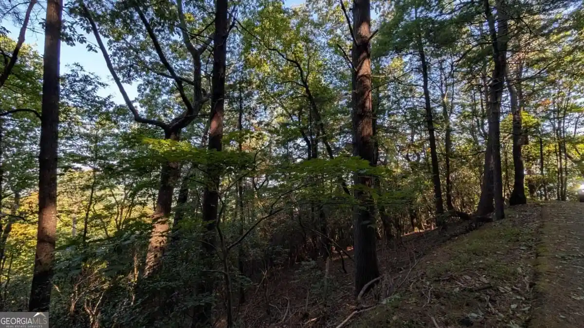 Photo 1 of Land for sale at 315 Falcon Hts Ln, Jasper, GA 30143 | MLS# 10875759 | Listing updated on 2026-10-20