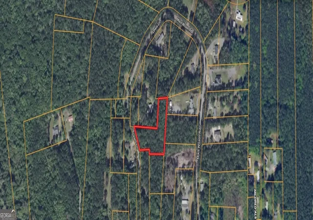 Photo 4 of Sale Pending at 0 Lewis Ln #1, Townsend, GA 31331 | MLS# 10700640 | Listing updated on 2026-09-29