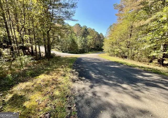 Photo 2 of Land for sale at 0 Eastside Dr, Ellijay, GA 30536 | MLS# 10874377 | Listing updated on 2026-10-30