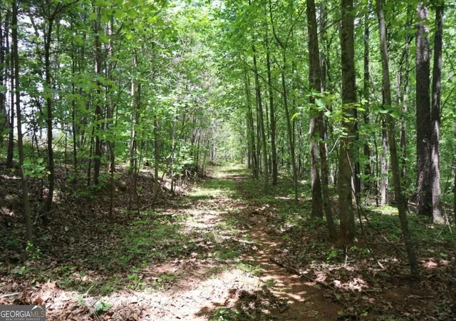 Photo 1 of Land for sale at 0 Parksbrook Road A, Ellijay, GA 30540 | MLS# 10302393 | Listing updated on 2026-03-05