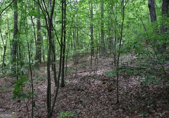 Photo 24 of Land for sale at 0 Parksbrook Road A, Ellijay, GA 30540 | MLS# 10302393 | Listing updated on 2026-03-05