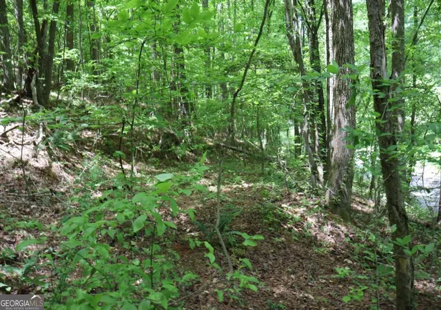 Photo 2 of Land for sale at 0 Parksbrook Road A, Ellijay, GA 30540 | MLS# 10302393 | Listing updated on 2026-03-05