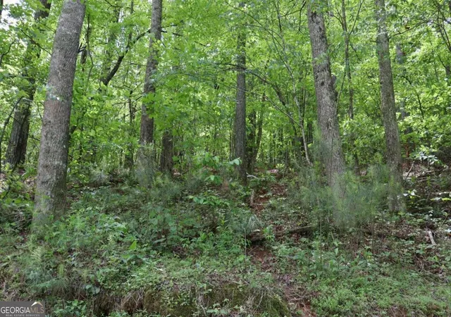 Photo 3 of Land for sale at 0 Parksbrook Road A, Ellijay, GA 30540 | MLS# 10302393 | Listing updated on 2026-03-05