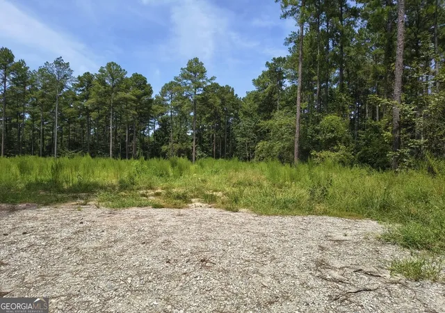 1st image of 0 Mosley Bridge Rd, Claxton, GA 30417 | MLS# 10828150