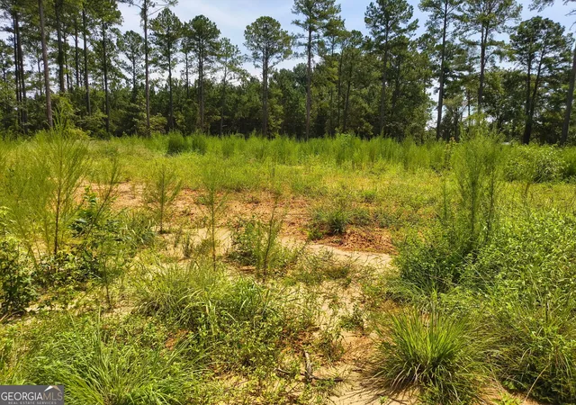 2nd image of 0 Mosley Bridge Rd, Claxton, GA 30417 | MLS# 10828150