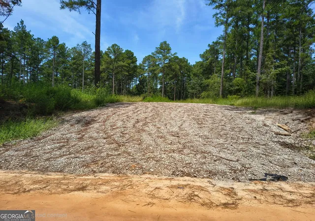 Photo 3 of Land for sale at 0 Mosley Brg Rd, Claxton, GA 30417 | MLS# 10828150 | Listing updated on 2026-09-01