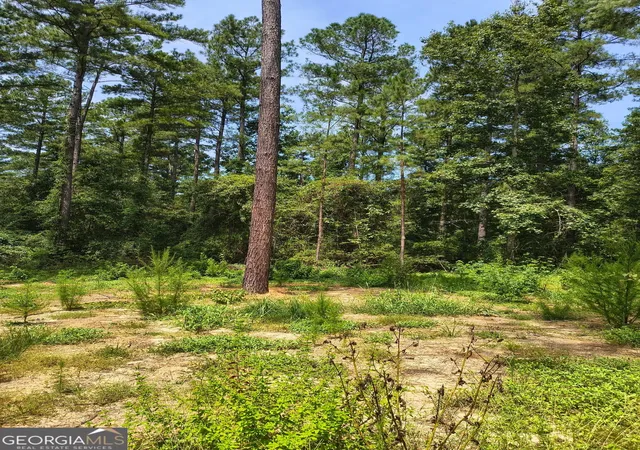 Photo 3 of Land for sale at 0 Mosley Brg Rd, Claxton, GA 30417 | MLS# 10828150 | Listing updated on 2026-09-01