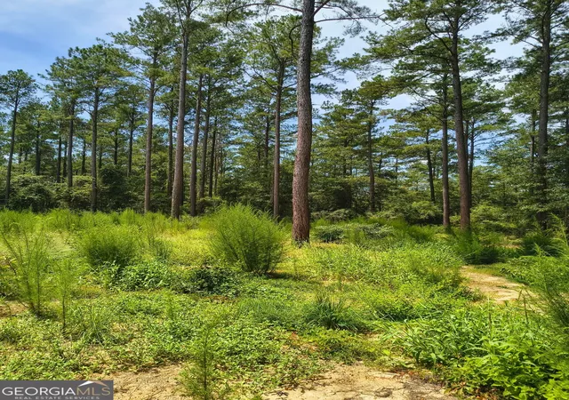 Photo 4 of Land for sale at 0 Mosley Brg Rd, Claxton, GA 30417 | MLS# 10828150 | Listing updated on 2026-09-01