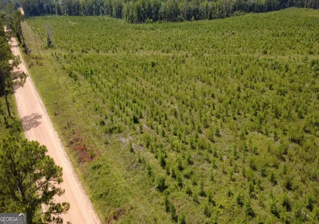 Photo 3 of Land for sale at 0 Sims Brothers Rd, Claxton, GA 30417 | MLS# 10819728 | Listing updated on 2026-08-24