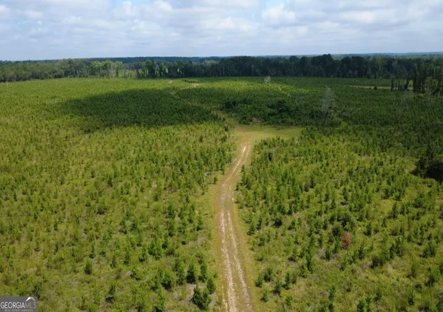 Photo 3 of Land for sale at 0 Sims Brothers Rd, Claxton, GA 30417 | MLS# 10819728 | Listing updated on 2026-08-24