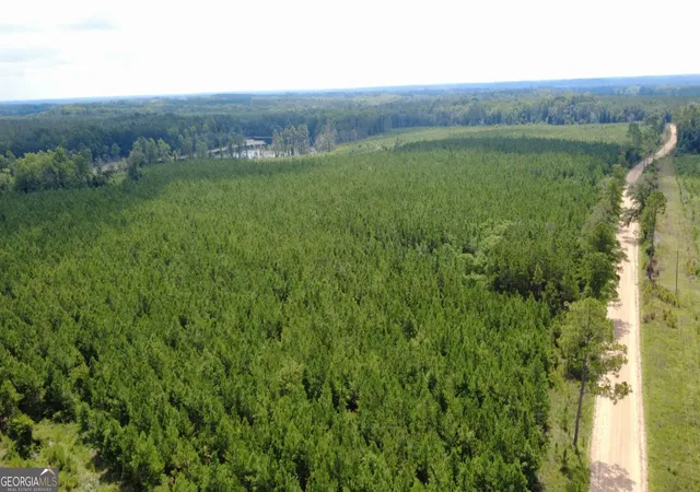 Photo 4 of Land for sale at 0 Sims Brothers Rd, Claxton, GA 30417 | MLS# 10819728 | Listing updated on 2026-08-24