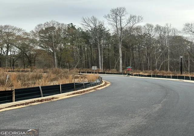 Photo 4 of Land for sale at 200 Edmonson Ct, Stockbridge, GA 30281 | MLS# 10660928 | Listing updated on 2026-01-05