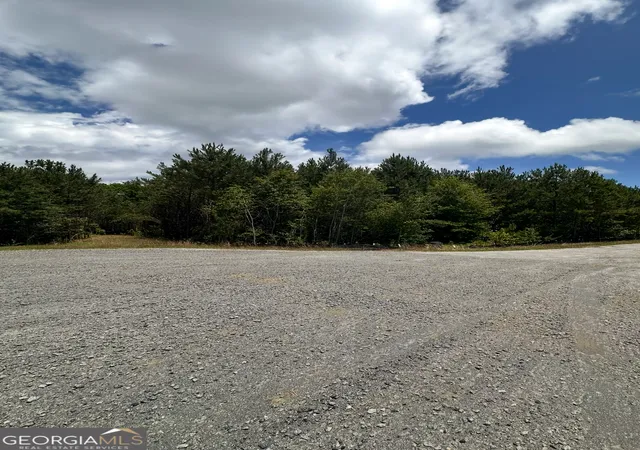 5th image of 0 Bob Smith Road #10, Sharpsburg, GA 30277 | MLS# 10788582