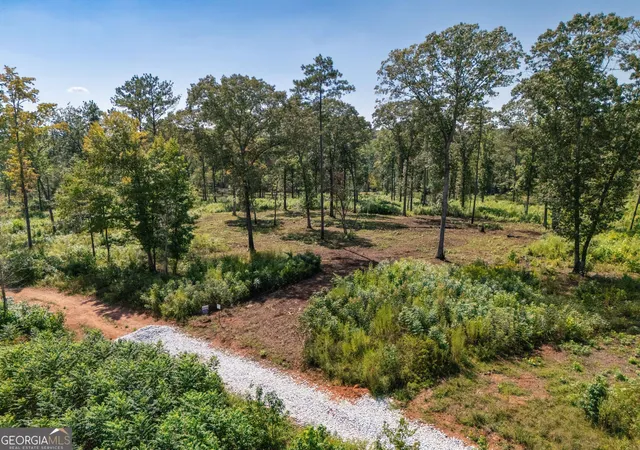 Photo 1 of Land for sale at 0 Hwy 100 #3 SADIE PLACE, Franklin, GA 30217 | MLS# 10834819 | Listing updated on 2026-09-11