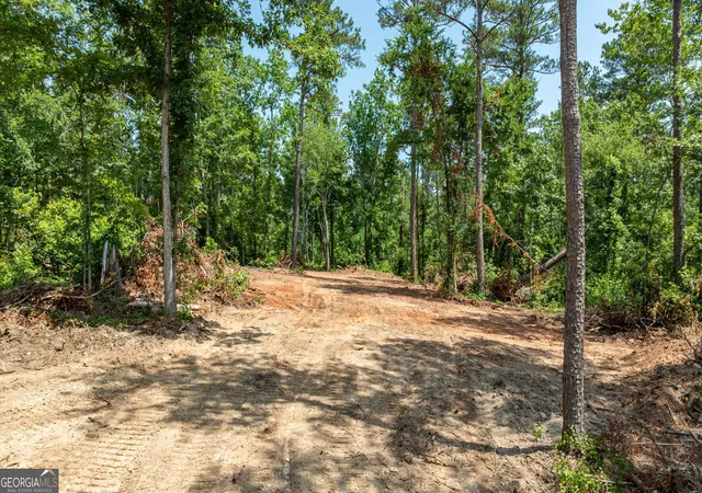 Homes for sale in Crawford, GA | 499 Faust Farm Rd, Crawford, GA 30630 | MLS# 10799431