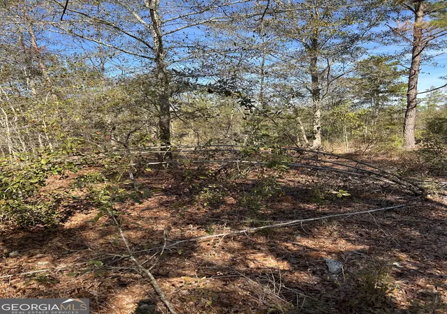 2nd image of 1432 Rozar Gooslby Rd, Eastman, GA 31023 | MLS# 10787546