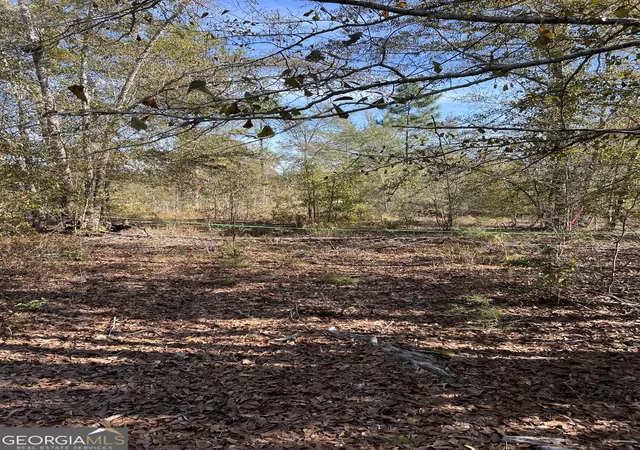 3rd image of 1432 Rozar Gooslby Rd, Eastman, GA 31023 | MLS# 10787546