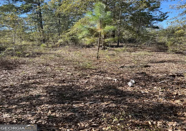 4th image of 1432 Rozar Gooslby Rd, Eastman, GA 31023 | MLS# 10787546
