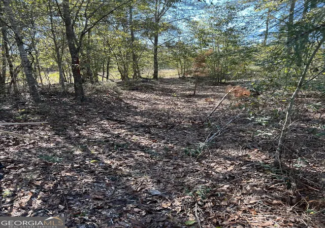 5th image of 1432 Rozar Gooslby Rd, Eastman, GA 31023 | MLS# 10787546