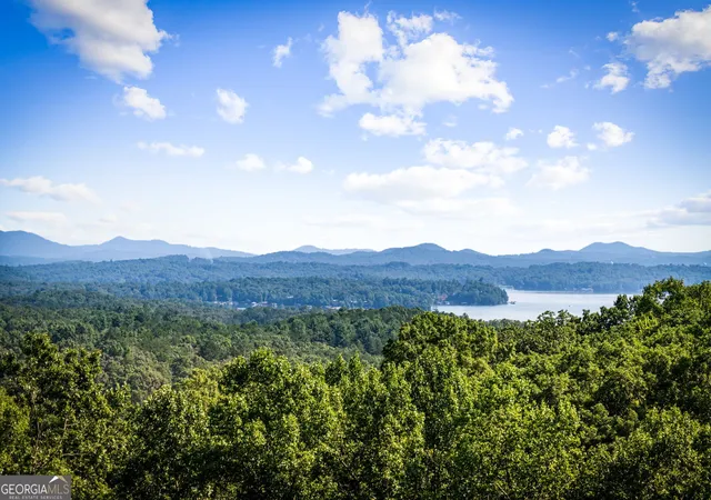 2nd image of 191 Green Ridge Rd, Blue Ridge, GA 30513 | MLS# 10831143