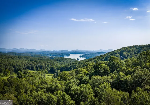 3rd image of 191 Green Ridge Rd, Blue Ridge, GA 30513 | MLS# 10831143