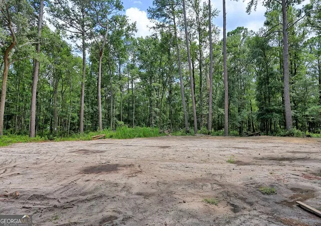 Photo 30 of Land for sale at 293 Anza Ln, Rincon, GA 31326 | MLS# 10791486 | Listing updated on 2026-08-09