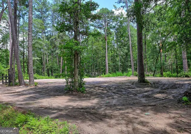 Photo 3 of Land for sale at 293 Anza Ln, Rincon, GA 31326 | MLS# 10791486 | Listing updated on 2026-08-09