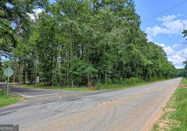 Photo 4 of Land for sale at 293 Anza Ln, Rincon, GA 31326 | MLS# 10791486 | Listing updated on 2026-08-09
