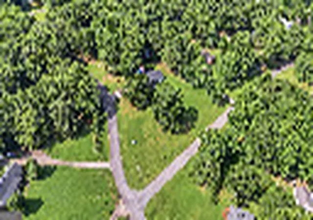 34th image of 130 Quail Hollow Rd, Griffin, GA 30224 | MLS# 10798248