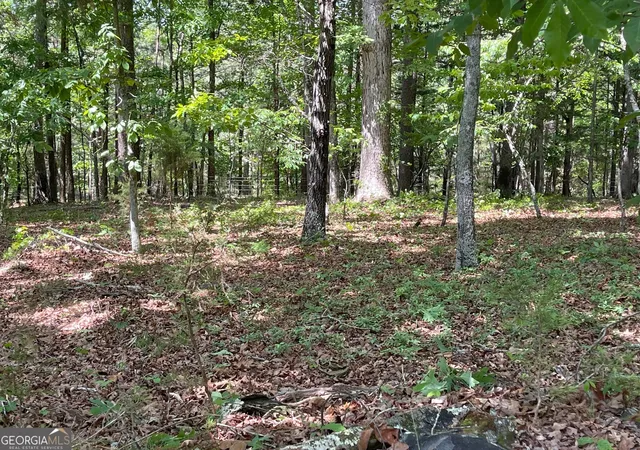 64th image of Lot 1 Chalcrest Wy, Cave Spring, GA 30124 | MLS# 10753322