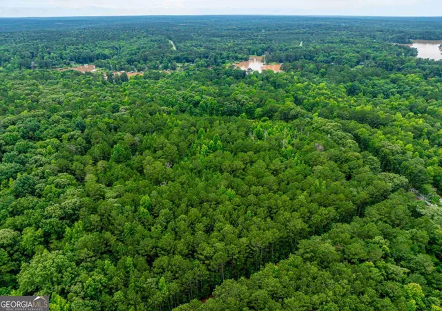 Photo 4 of Land for sale at 0 Napier Mill Rd, Eatonton, GA 31024 | MLS# 10825078 | Listing updated on 2026-08-27