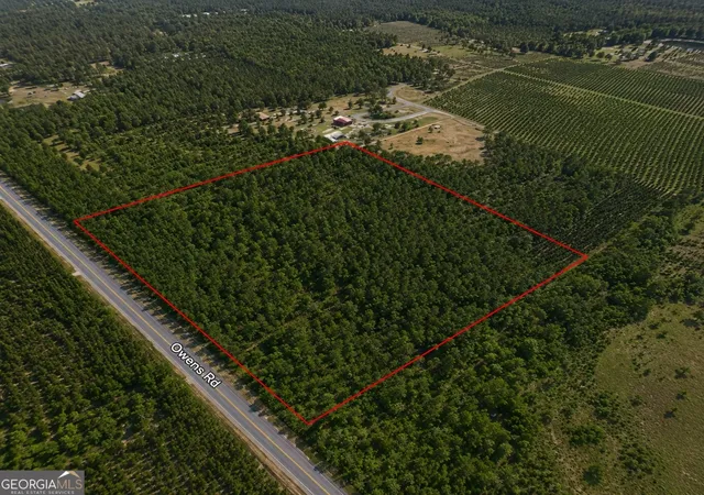 2nd image of 901 Acres Livingston Farm Rd, Mcrae Helena, GA 31055 | MLS# 10815373