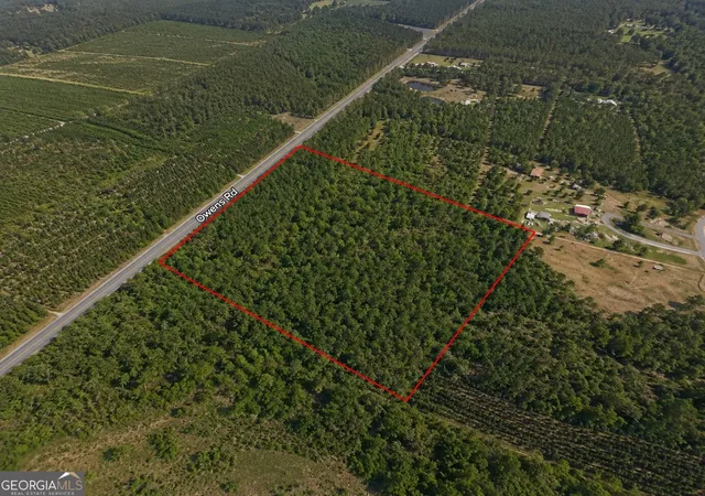 3rd image of 901 Acres Livingston Farm Rd, Mcrae Helena, GA 31055 | MLS# 10815373