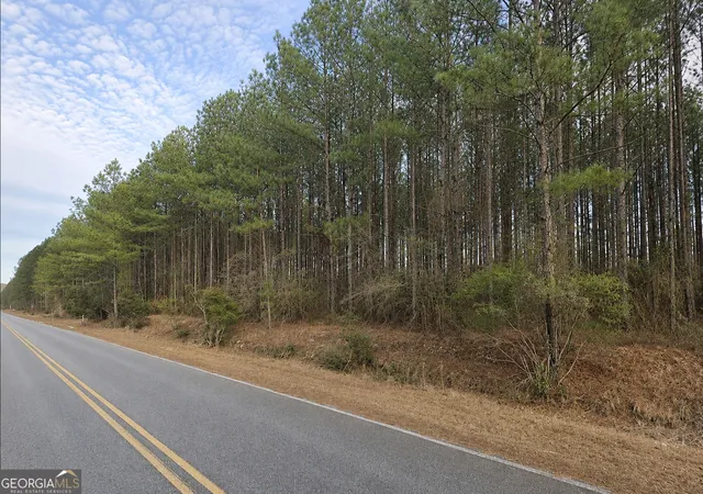 4th image of 901 Acres Livingston Farm Rd, Mcrae Helena, GA 31055 | MLS# 10815373