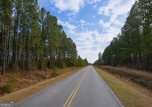 5th image of 901 Acres Livingston Farm Rd, Mcrae Helena, GA 31055 | MLS# 10815373