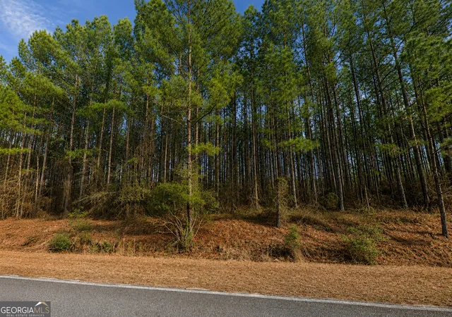 6th image of 901 Acres Livingston Farm Rd, Mcrae Helena, GA 31055 | MLS# 10815373
