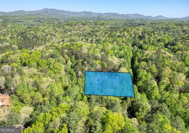 61st image of 618 Satsuma Ct S, Ellijay, GA 30540 | MLS# 10738653