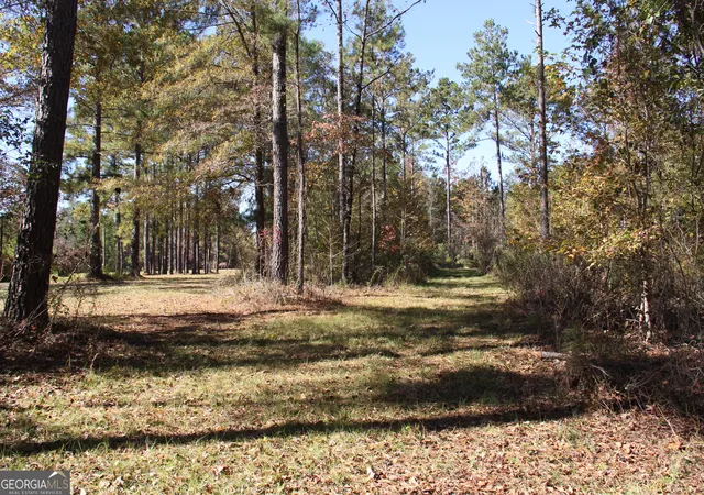 Photo 3 of Land for sale at 504 Jenkins Rd, Forsyth, GA 31029 | MLS# 10298443 | Listing updated on 2026-10-21