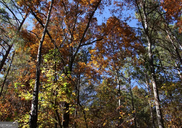 Photo 3 of Land for sale at 504 Jenkins Rd, Forsyth, GA 31029 | MLS# 10298443 | Listing updated on 2026-10-21