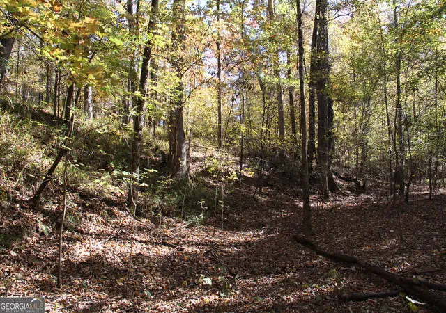 Photo 4 of Land for sale at 504 Jenkins Rd, Forsyth, GA 31029 | MLS# 10298443 | Listing updated on 2026-10-21