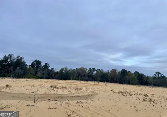 Homes for sale in Collins, GA | 959 Ac Jarriel's Bridge Spur Rd, Collins, GA 30421 | MLS# 10698729
