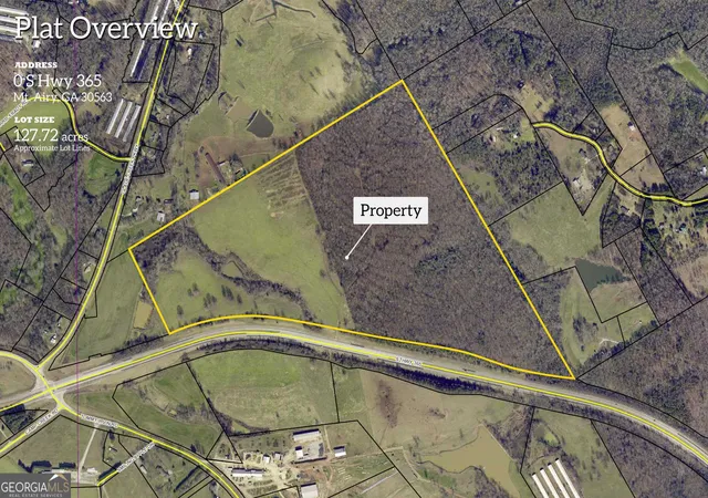 Homes for sale in Mount Airy, GA | 127 Acres Hwy 3 Sthighway 365, Mount Airy, GA 30563 | MLS# 10780974
