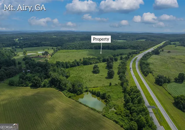 Homes for sale in Mount Airy, GA | 127 Acres Hwy 3 Sthighway 365, Mount Airy, GA 30563 | MLS# 10780974
