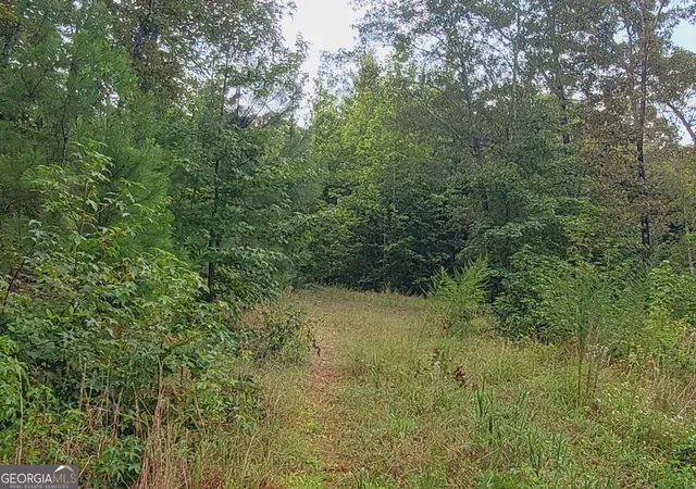 Photo 14 of Sale Pending at 0 Bankston Rd, Meansville, GA 30256 | MLS# 10829728 | Listing updated on 2026-08-31