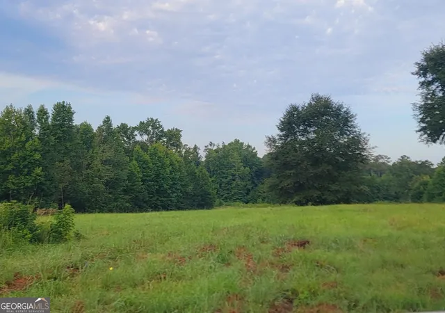 Photo 1 of Sale Pending at 0 Bankston Rd, Meansville, GA 30256 | MLS# 10829728 | Listing updated on 2026-08-31